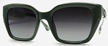 Polarized 5202 C4