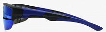Polarized  8271 C4  65-18-120
