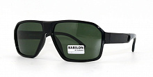 Polarized BABIRON 0979 C1 59-15-140