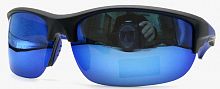 Polarized  8271 C4  65-18-120