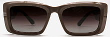 Polarized 5206 C3