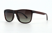 Polarized EC18041   C08  55-19-135