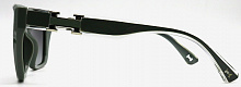 Polarized 5202 C4