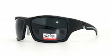 Polarized  8258 C3  63-16-120