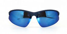 Polarized  8265 C4  65-18-120