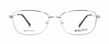 Оправа salivio 9122 C1 56-18-145