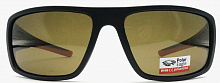 Polarized  8269 C2  62-19-127