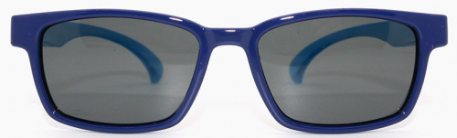 Polarized 8156 С31 фото 2 Polarized 8156 С31 фото 2